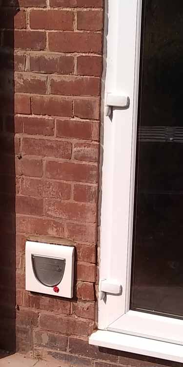 Cat flap fitters Stocksfield and Northumberland