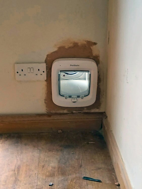 Cat flap fitted through a wall Hexham, Northumberland