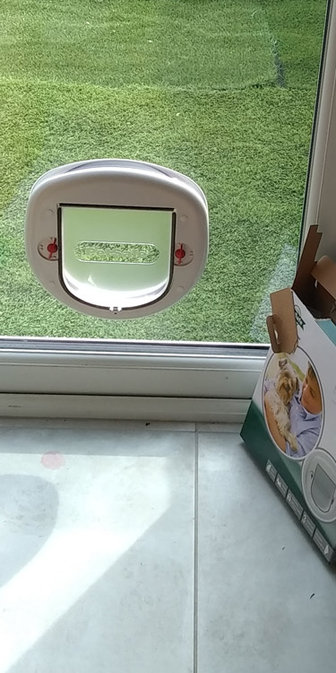 Cat flap fitters North Shields and North Tyneside