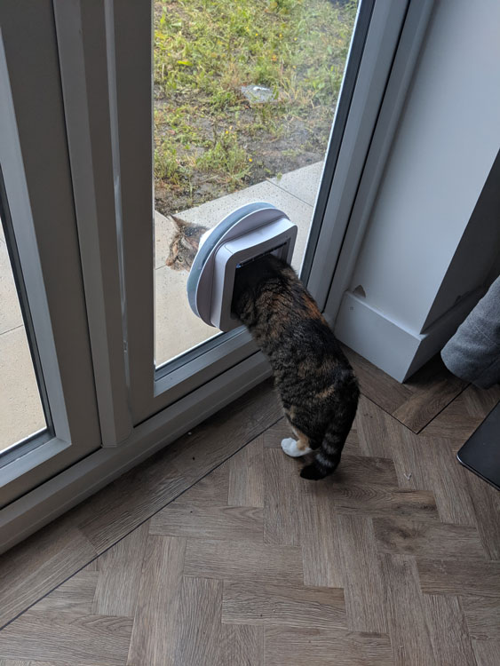 Cat flap fitters Ashington and Blyth