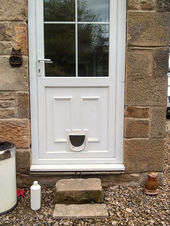 Cat flap fitters Hexham and Northumberland