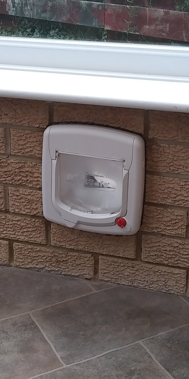 Cat flaps fitted through the wall
