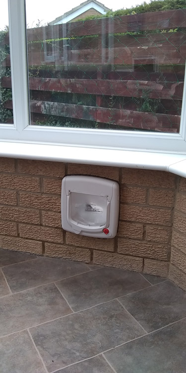 Cat flap fitted through the wall Hexham and Northumberland