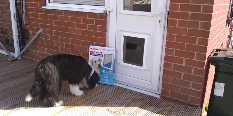 Dog flap fitters Gateshead and Birtley