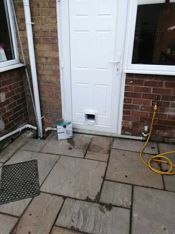 Cat and dog flap fitters Chester-le-Street
