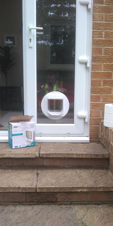 Cat and dog flap fitters Durham