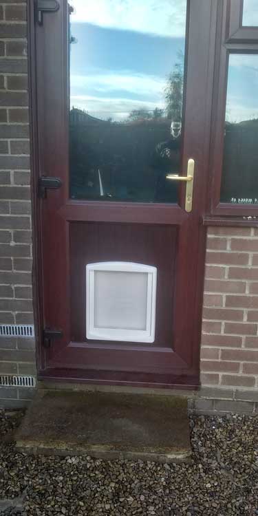 Cat and dog flap fitters