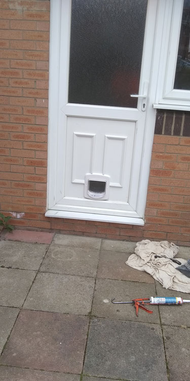 Dog and Cat flap fitters Cramlington and Blyth