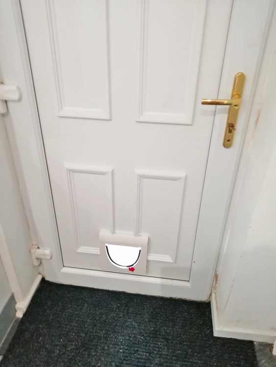 Cat and dog flap fitters