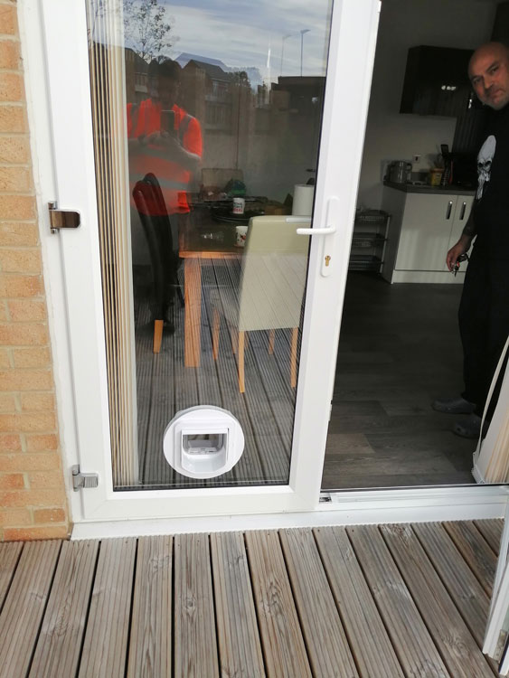 Cat and dog flap fitters Bedlington and Blyth