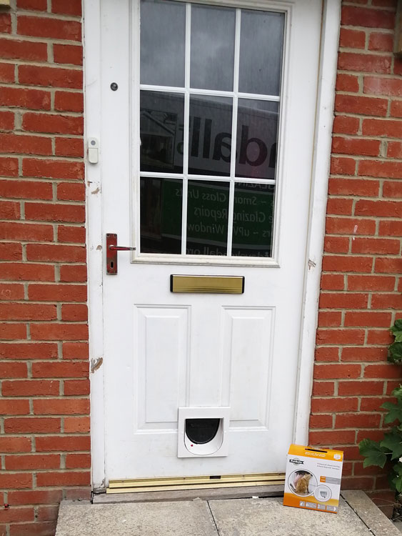 Cat and dog flap fitters Darlington
