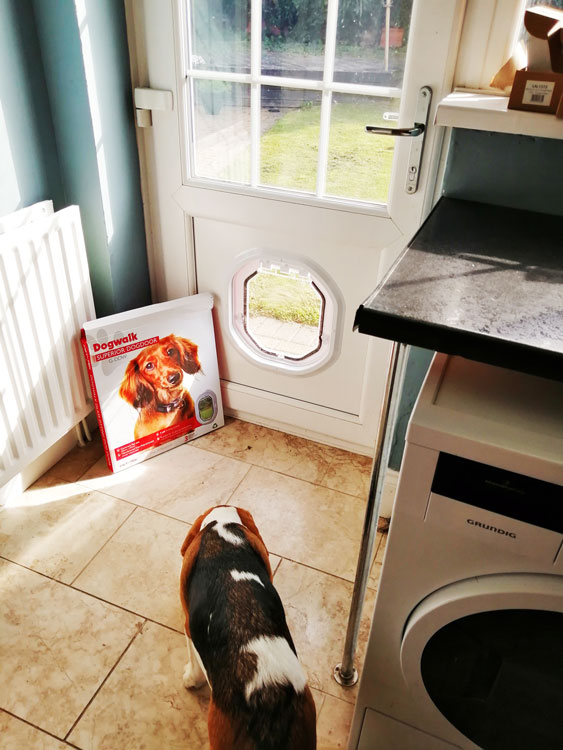 Cat and dog flap fitters Hartlepool