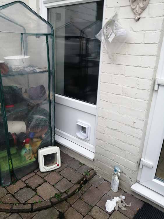 Cat and dog flap fitters Heaton