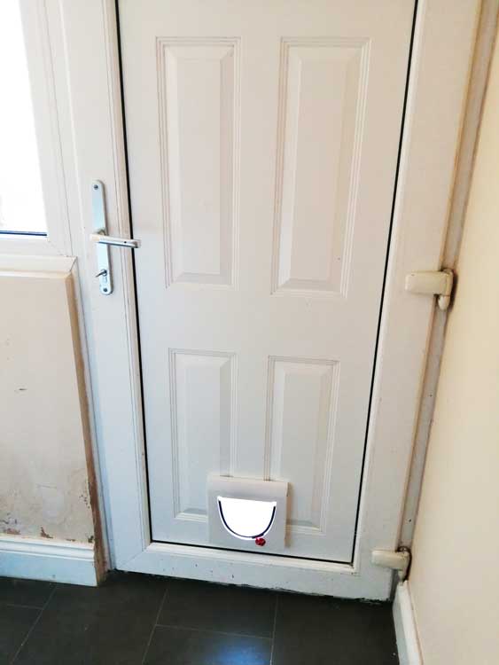 Cat and dog flap fitters Heaton and Newcastle