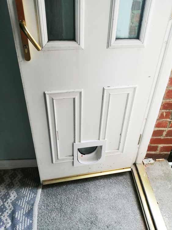 Cat and dog flap fitters Byker in Newcastle