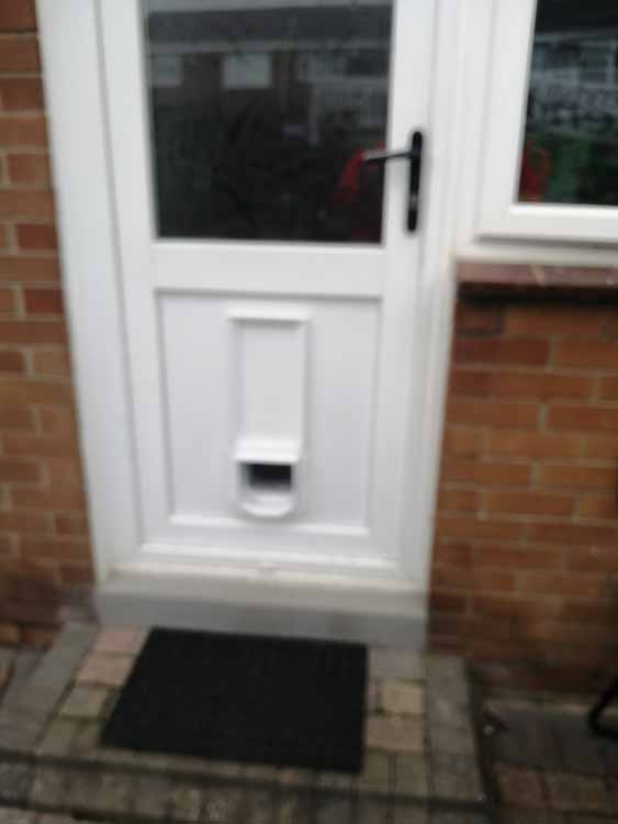 Cat and dog flap fitters Jarrow and South Shields