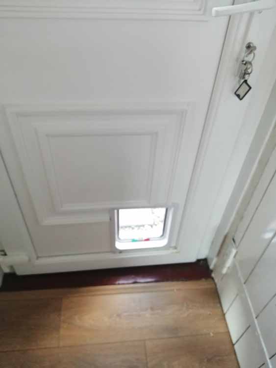 Cat and dog flap fitters North Shields and Tynemouth