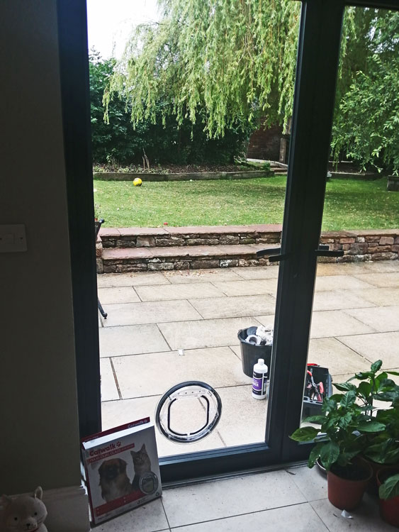 Cat and dog flap fitters Penrith