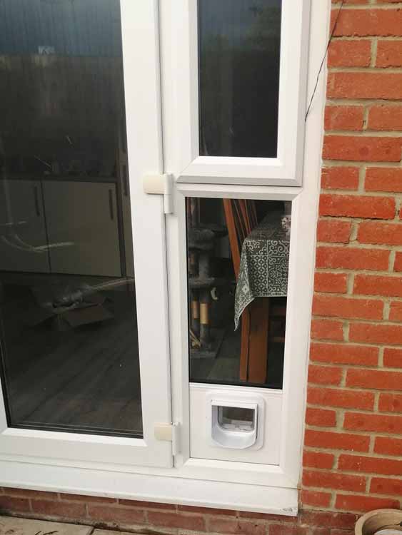 Cat and dog flap fitters Spennymoor