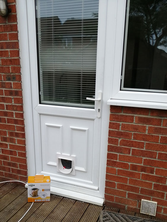 Cat and dog flap fitters Sunderland at Cleadon