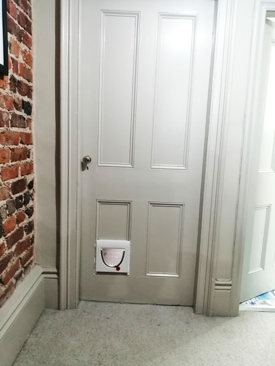 Cat and dog flap fitters Tynemouth and Whitley Bay