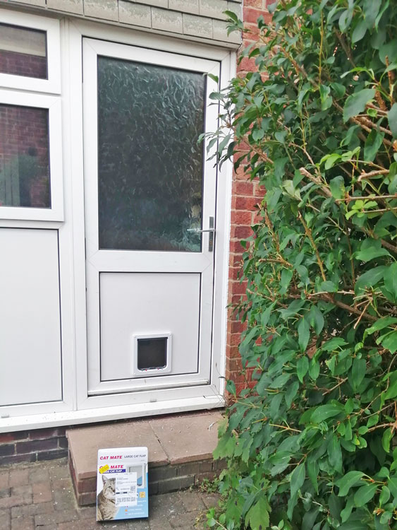 Cat and dog flap fitters Wallsend and Newcastle