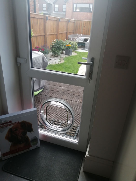 Cat and dog flap fitters Whitley Bay and North Tyneside