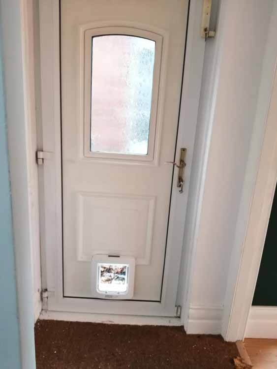 Dog and cat flap fitters Whitley Bay and Tynemouth
