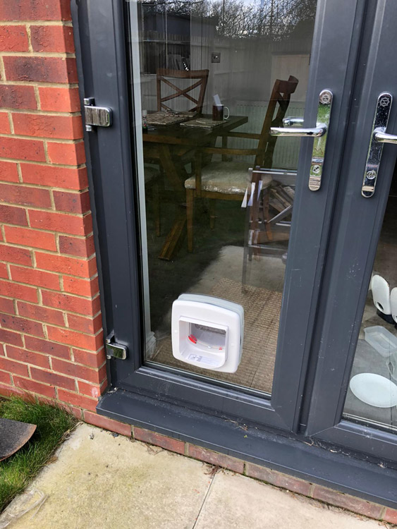 Cat flap fitters Benton and Forest Hall