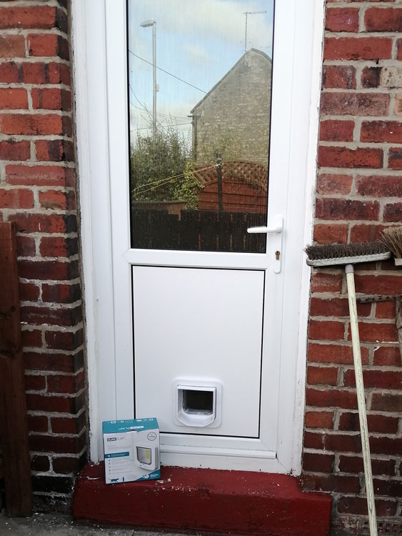 Cat flap fitters Crawcrook and Ryton
