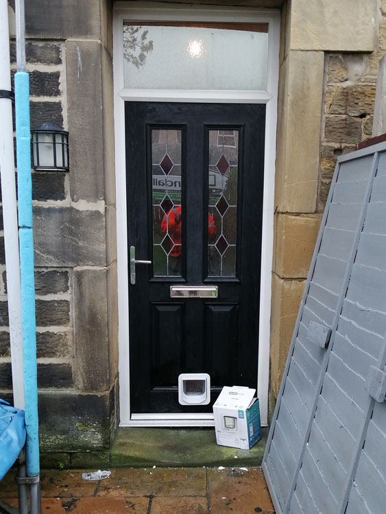 Cat flap fitters Newbiggin by the Sea and Northumberland