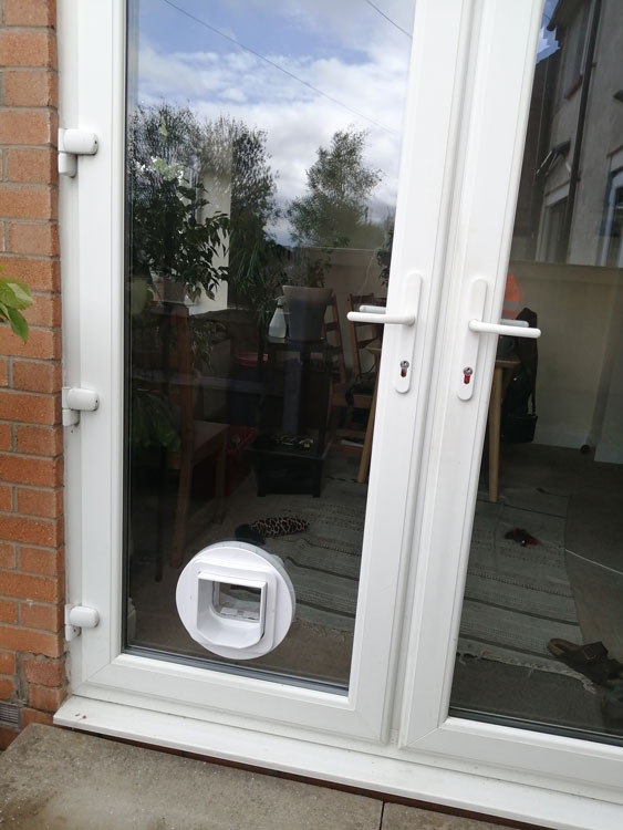 Cat flap fitters Penrith and Cumbria