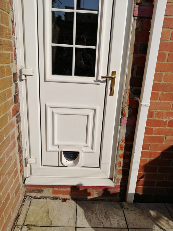 Cat flap fitters South Shields