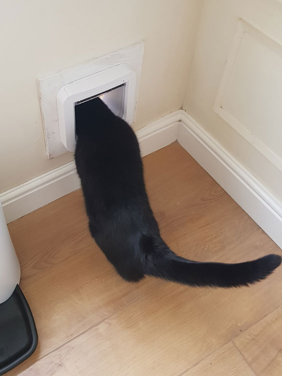 Cat flaps fitted through the wall Cumbria
