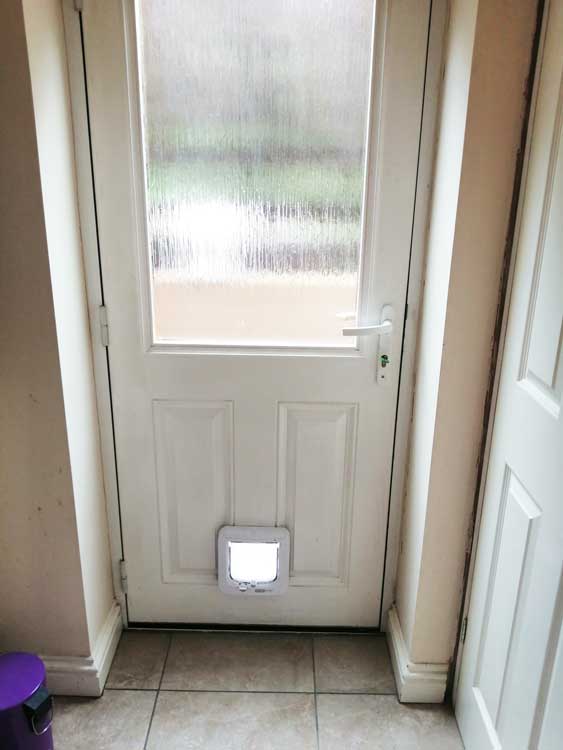 Cat and dog flap fitters York
