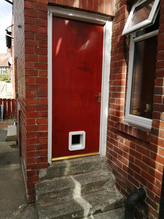 Cat flap fitters Gosforth