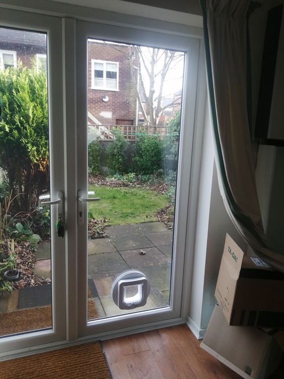 Dog flap fitters near me