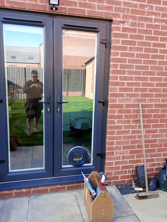 Cat flap kings and doggies 2