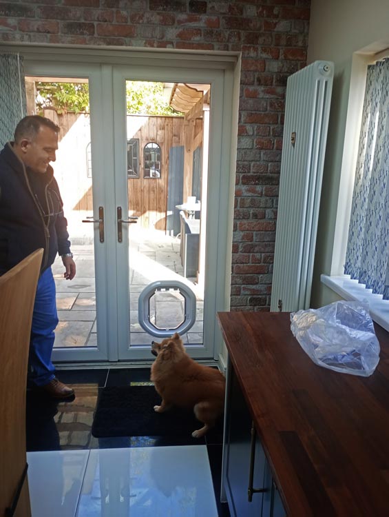 Cat flap kings and doggies 2