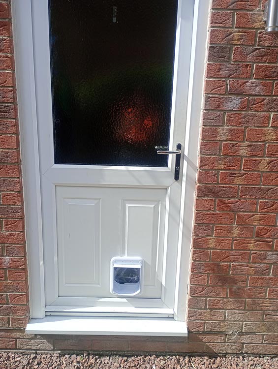 Cat flap kings and doggies 2