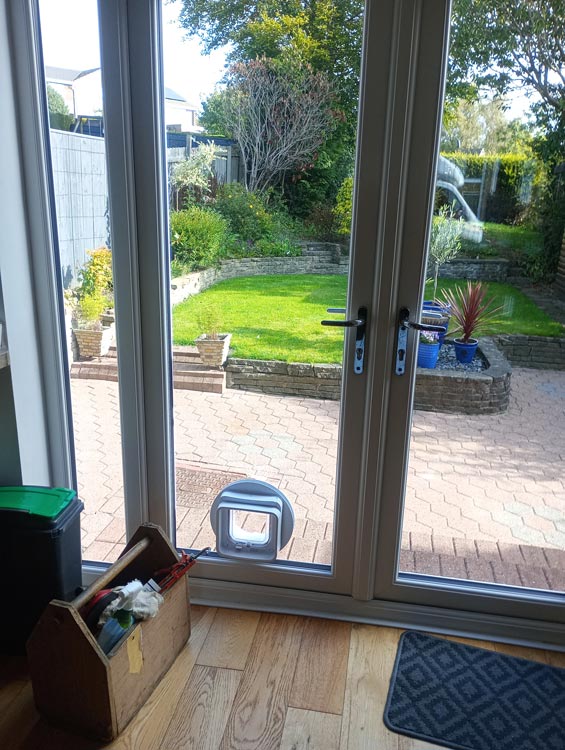 Cat flap kings and doggies 2