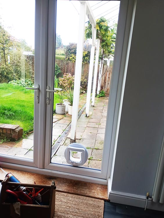Cat flap kings and doggies 2