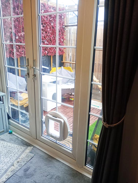 Cat flap kings and doggies 2