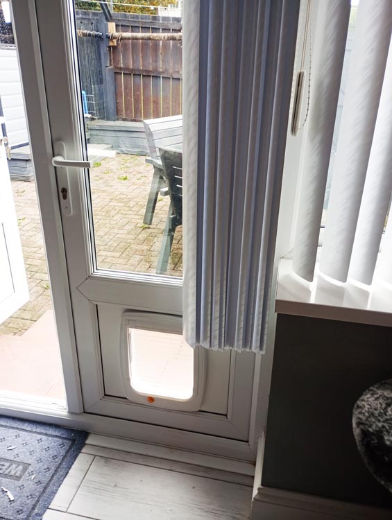 Dog flap prices near me