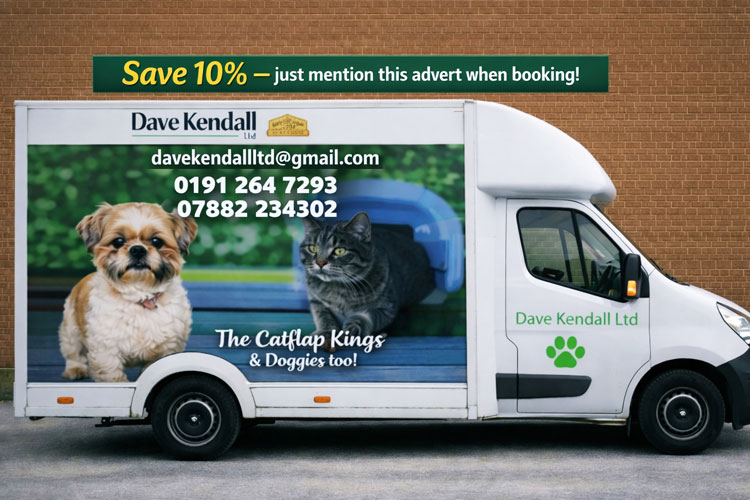Cat flap installation