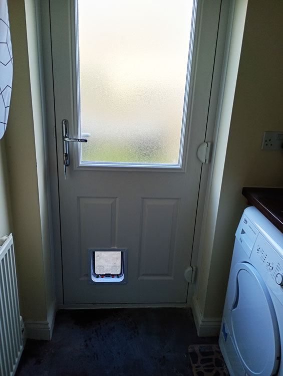 Cat flap installers near me