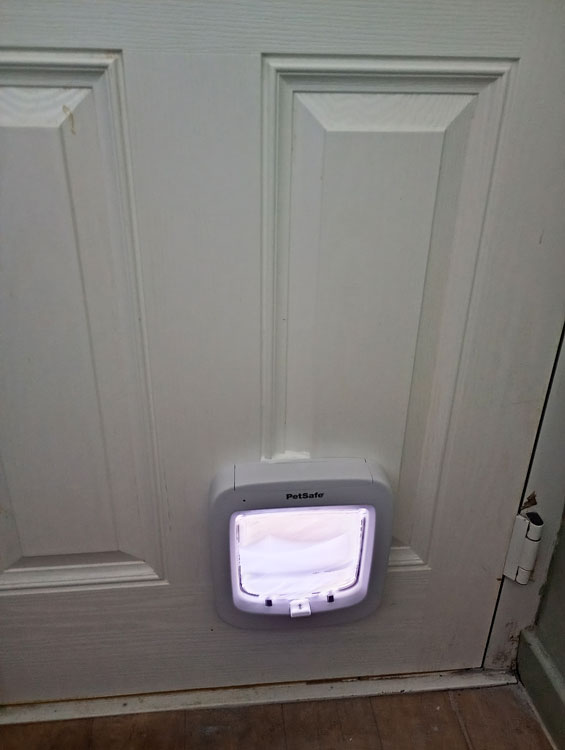 Cat flap installers near me