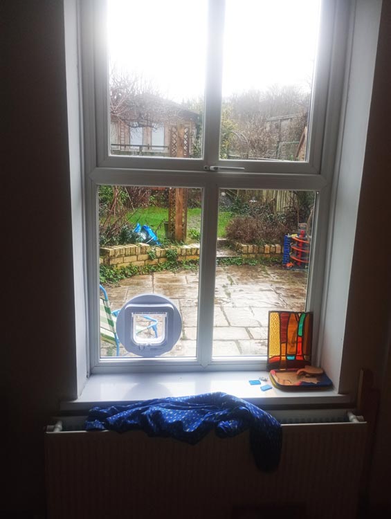 Cat flap installers near me
