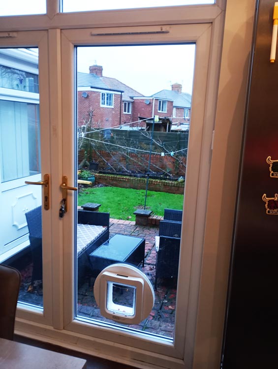 Cat flap installers near me