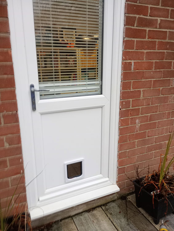 Cat flap installers near me Cat flap installers near me